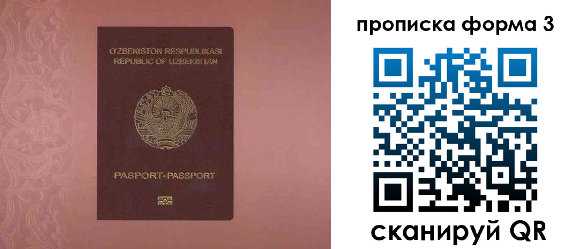 регистрация в Красном Куте